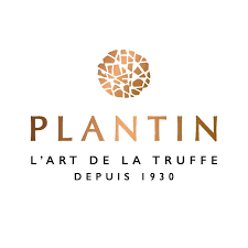 Plantin Truffe Plantin Truffe